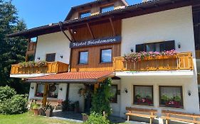 Hotel Friedemann